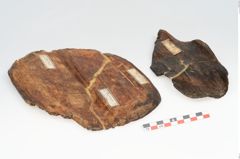 Foto von Holzeimer (NHMW-PRAE-003506)